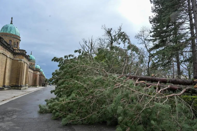 Mirogoj poharalo nevrijeme: O&scaron;tećen grob legendarnog trenera, stabla padala i na anđele