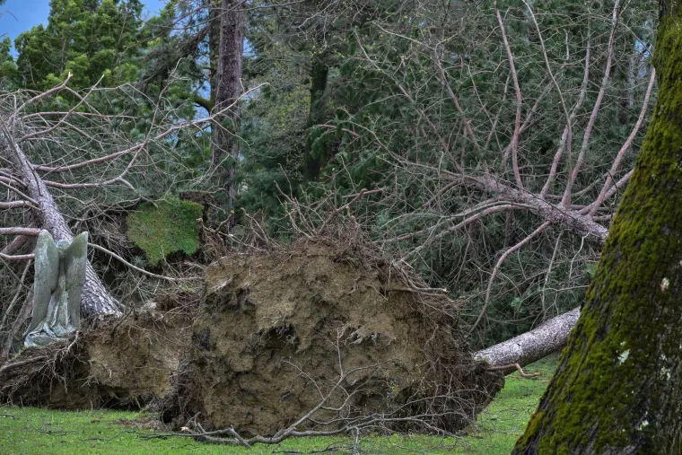 Mirogoj poharalo nevrijeme: O&scaron;tećen grob legendarnog trenera, stabla padala i na anđele