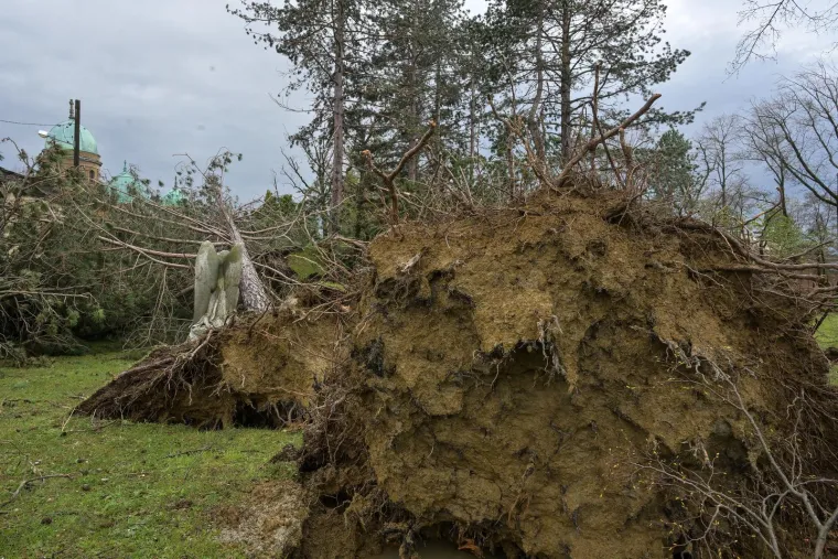 Mirogoj poharalo nevrijeme: O&scaron;tećen grob legendarnog trenera, stabla padala i na anđele