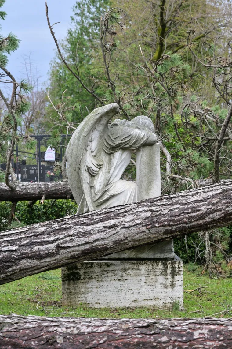 Mirogoj poharalo nevrijeme: O&scaron;tećen grob legendarnog trenera, stabla padala i na anđele