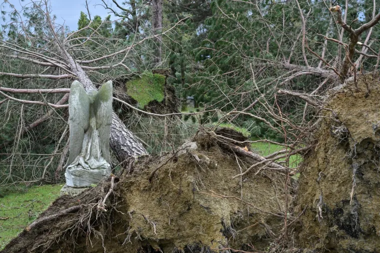 Mirogoj poharalo nevrijeme: O&scaron;tećen grob legendarnog trenera, stabla padala i na anđele