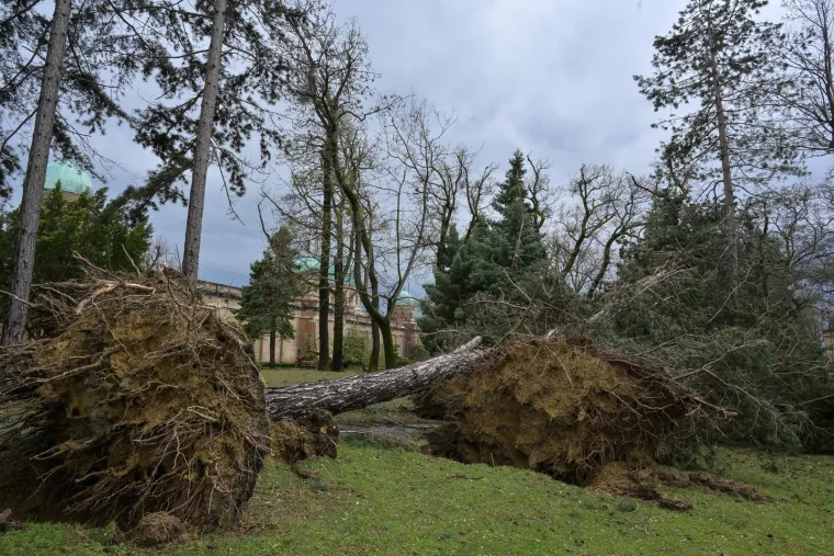 Mirogoj poharalo nevrijeme: O&scaron;tećen grob legendarnog trenera, stabla padala i na anđele