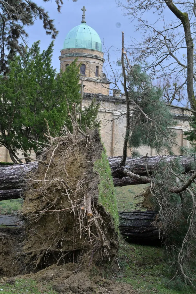 Mirogoj poharalo nevrijeme: O&scaron;tećen grob legendarnog trenera, stabla padala i na anđele