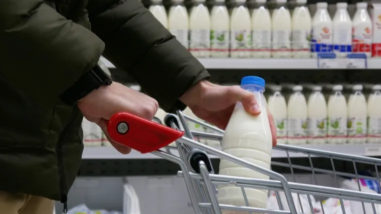 Ove prerađene namirnice zapravo su dobre za zdravlje, a neke su hranjivije od svježih