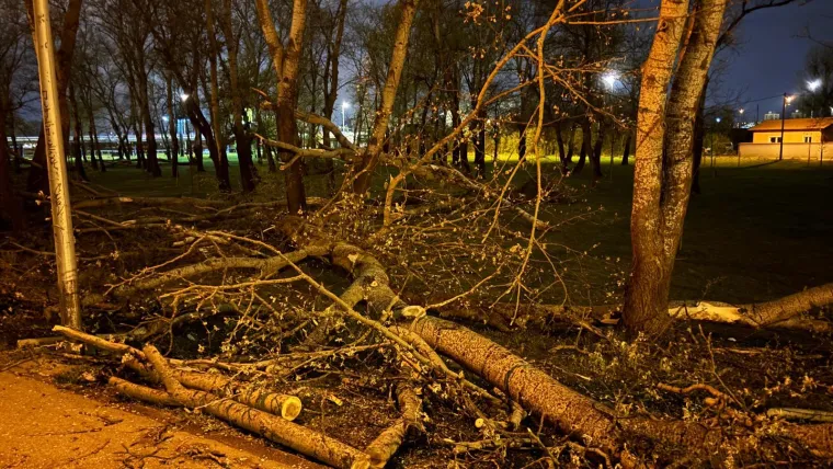 Oluja 'počupala' Bundek: Pogledajte &scaron;to je ostalo od omiljenog zagrebačkog parka