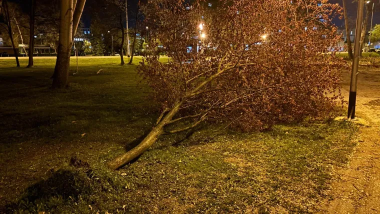 Oluja 'počupala' Bundek: Pogledajte &scaron;to je ostalo od omiljenog zagrebačkog parka
