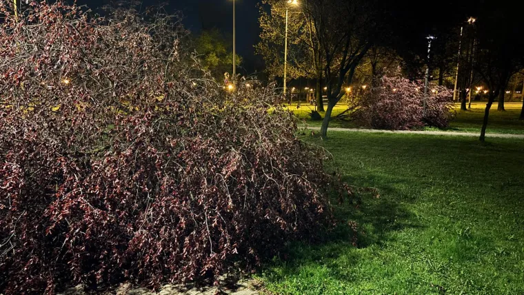Oluja 'počupala' Bundek: Pogledajte &scaron;to je ostalo od omiljenog zagrebačkog parka