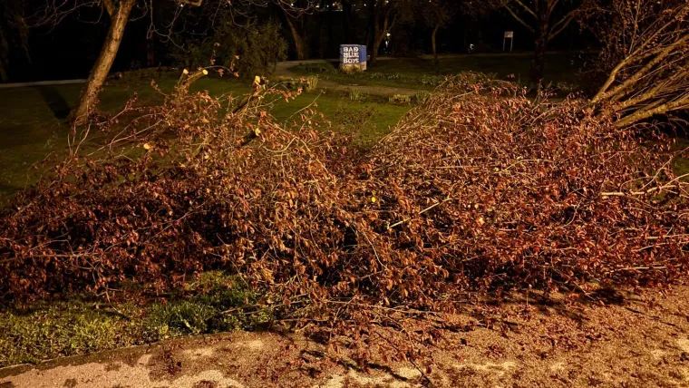 Oluja 'počupala' Bundek: Pogledajte &scaron;to je ostalo od omiljenog zagrebačkog parka