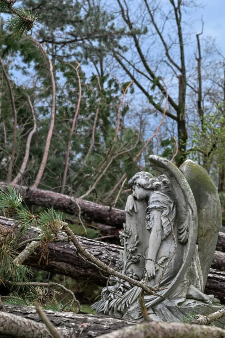 Uni&scaron;teni grobovi na Mirogoju, oluja sru&scaron;ila 200 stabala: 'Molim vas da ne dolazite'