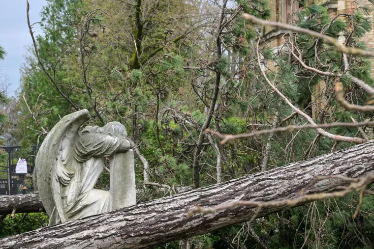 Uni&scaron;teni grobovi na Mirogoju, oluja sru&scaron;ila 200 stabala: 'Molim vas da ne dolazite'