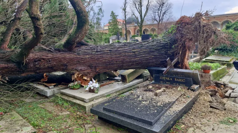 Uni&scaron;teni grobovi na Mirogoju, oluja sru&scaron;ila 200 stabala: 'Molim vas da ne dolazite'