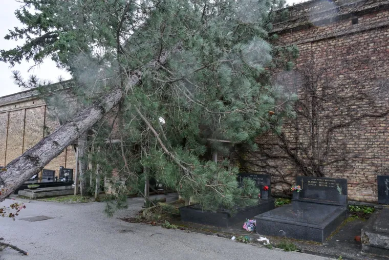 Uni&scaron;teni grobovi na Mirogoju, oluja sru&scaron;ila 200 stabala: 'Molim vas da ne dolazite'