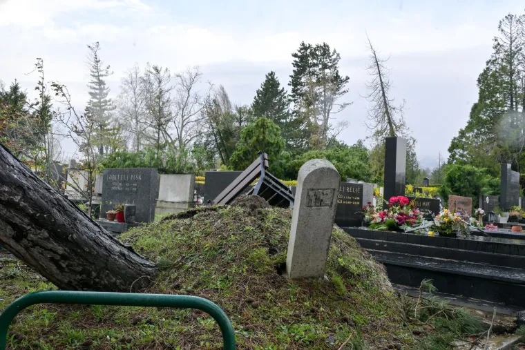 Uni&scaron;teni grobovi na Mirogoju, oluja sru&scaron;ila 200 stabala: 'Molim vas da ne dolazite'