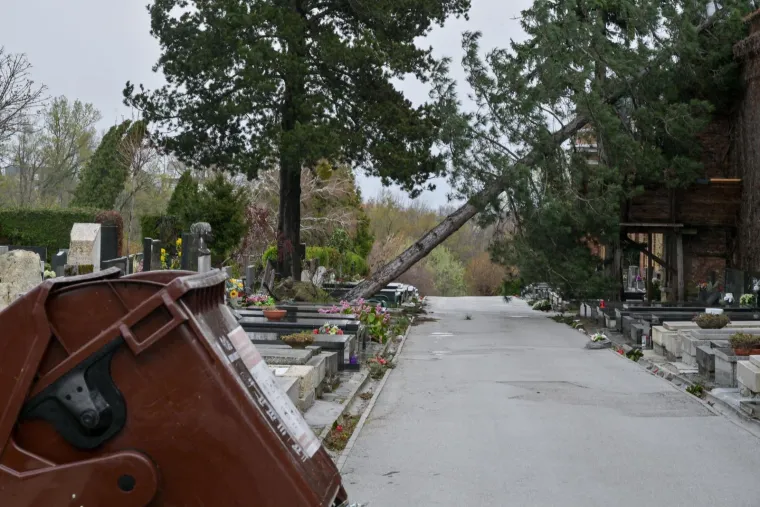 Uni&scaron;teni grobovi na Mirogoju, oluja sru&scaron;ila 200 stabala: 'Molim vas da ne dolazite'