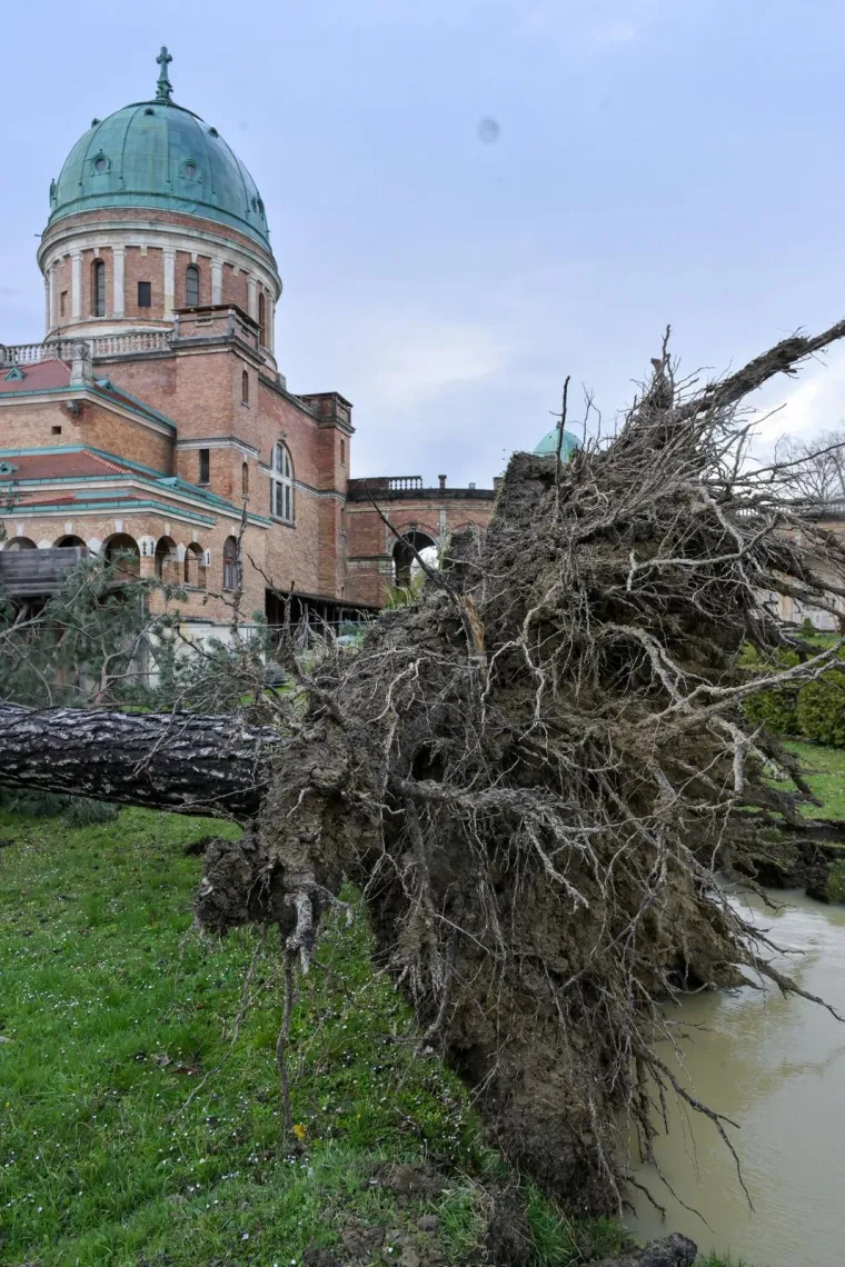 Uni&scaron;teni grobovi na Mirogoju, oluja sru&scaron;ila 200 stabala: 'Molim vas da ne dolazite'