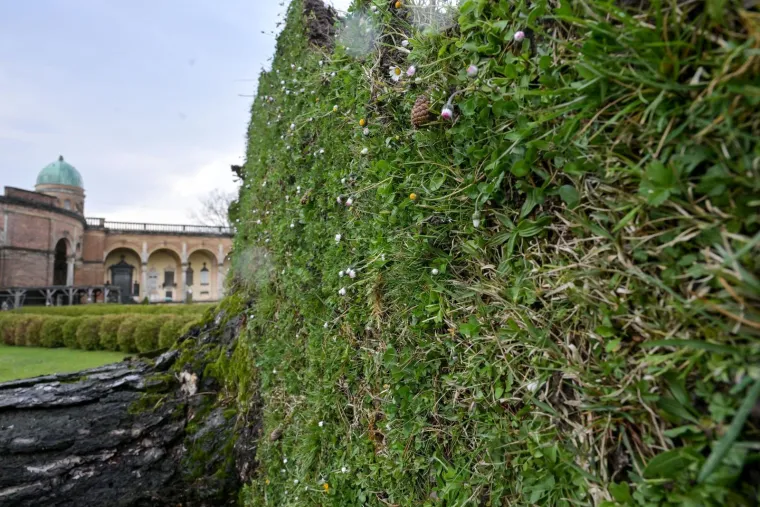 Uni&scaron;teni grobovi na Mirogoju, oluja sru&scaron;ila 200 stabala: 'Molim vas da ne dolazite'