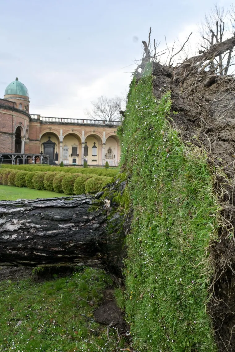 Uni&scaron;teni grobovi na Mirogoju, oluja sru&scaron;ila 200 stabala: 'Molim vas da ne dolazite'