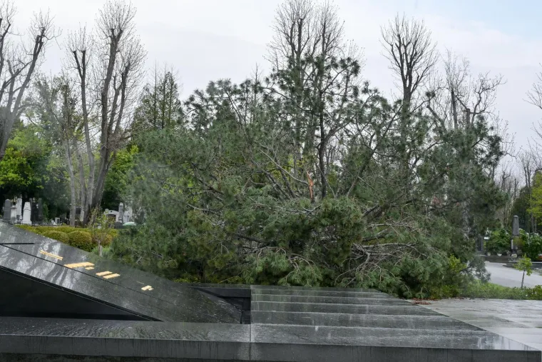 Uni&scaron;teni grobovi na Mirogoju, oluja sru&scaron;ila 200 stabala: 'Molim vas da ne dolazite'