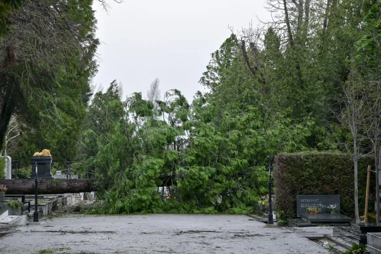 Uni&scaron;teni grobovi na Mirogoju, oluja sru&scaron;ila 200 stabala: 'Molim vas da ne dolazite'