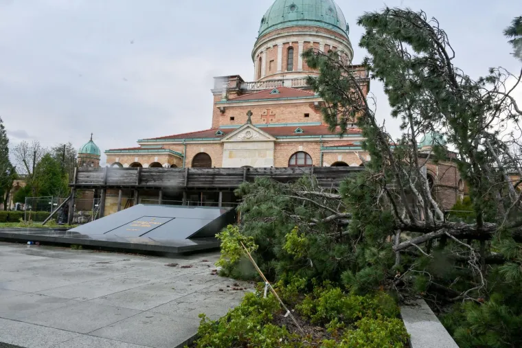 Uni&scaron;teni grobovi na Mirogoju, oluja sru&scaron;ila 200 stabala: 'Molim vas da ne dolazite'