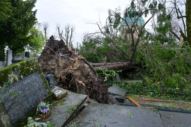 Uni&scaron;teni grobovi na Mirogoju, oluja sru&scaron;ila 200 stabala: 'Molim vas da ne dolazite'