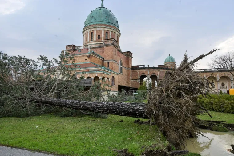 Uni&scaron;teni grobovi na Mirogoju, oluja sru&scaron;ila 200 stabala: 'Molim vas da ne dolazite'