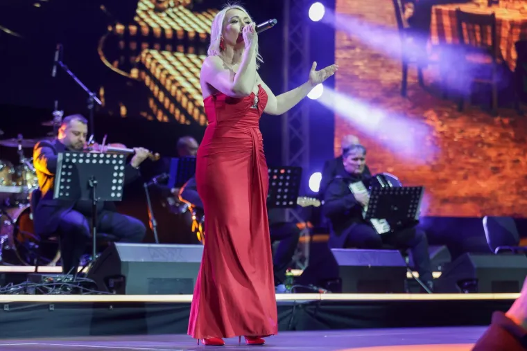 Ovako se partijalo u Zagrebu: Hitovi 'kralja narodne glazbe' odzvanjali su Arenom