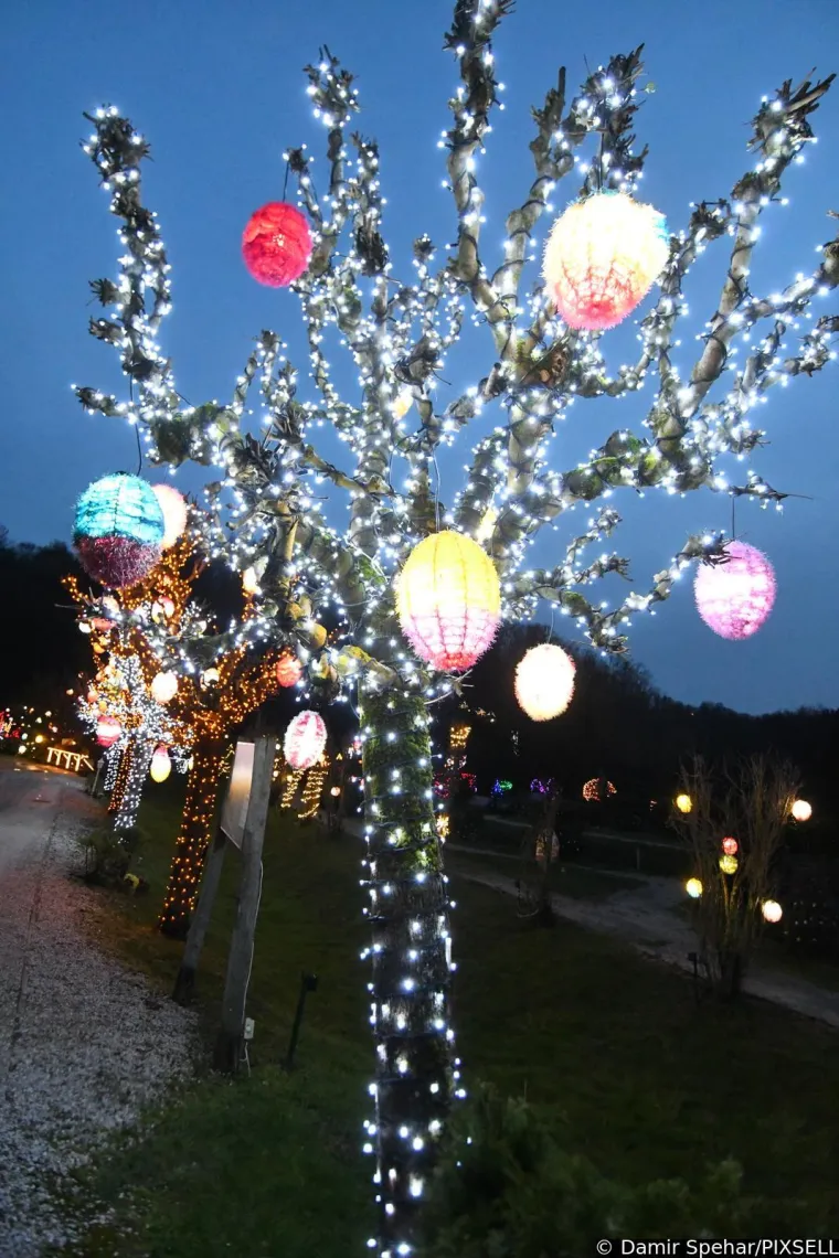 Čak 60.000 svjetlećih pisanica krasi imanje Salaj: Pogledajte najljep&scaron;u uskrsnu bajku