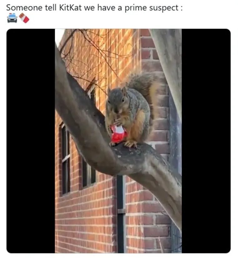 Jo&scaron; se ne zna tko je jamio 12 tona KitKata, zafrkanti napravili urnebesan popis osumnjičenih