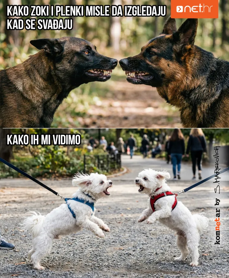 Vojni rok, Aco iz susjedstva i susret Plenkovića i Milanovića: Za Prvi april nasmijte se do suza