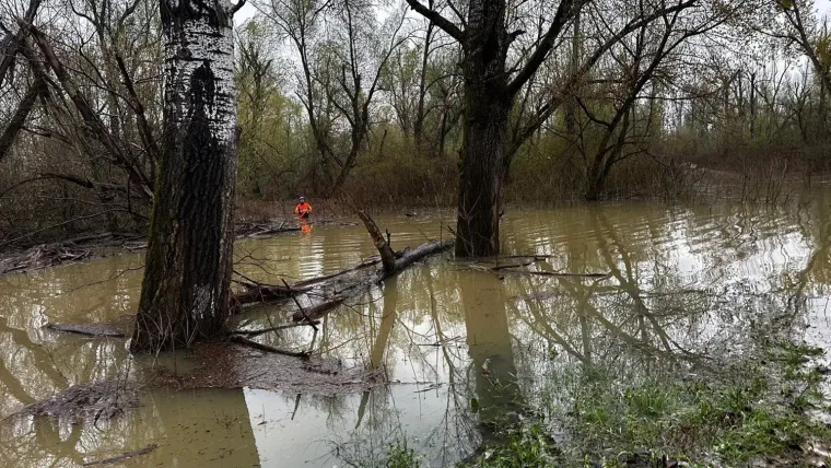 Pogledajte prizore noćne drame, iz Save izvukli 30 ljudi: 'Zapeli su u močvari'