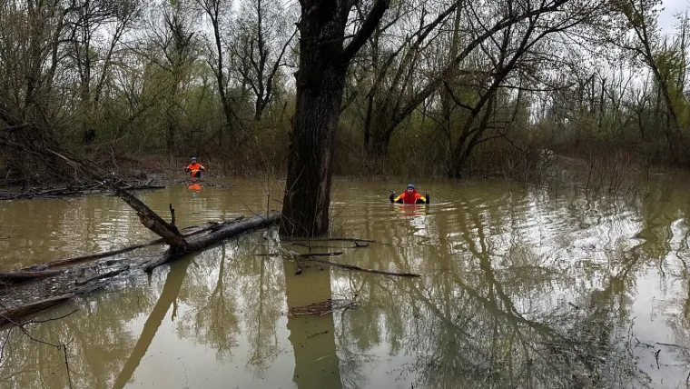 Pogledajte prizore noćne drame, iz Save izvukli 30 ljudi: 'Zapeli su u močvari'