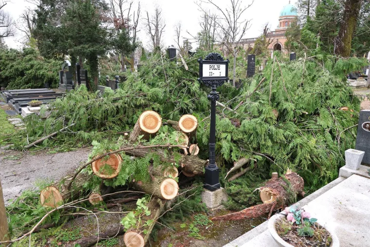 Uni&scaron;teni spomenici i neprepoznatljiv Mirogoj nakon oluje: Toma&scaron;ević najavio pomoć građanima