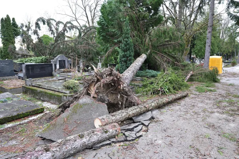 Uni&scaron;teni spomenici i neprepoznatljiv Mirogoj nakon oluje: Toma&scaron;ević najavio pomoć građanima