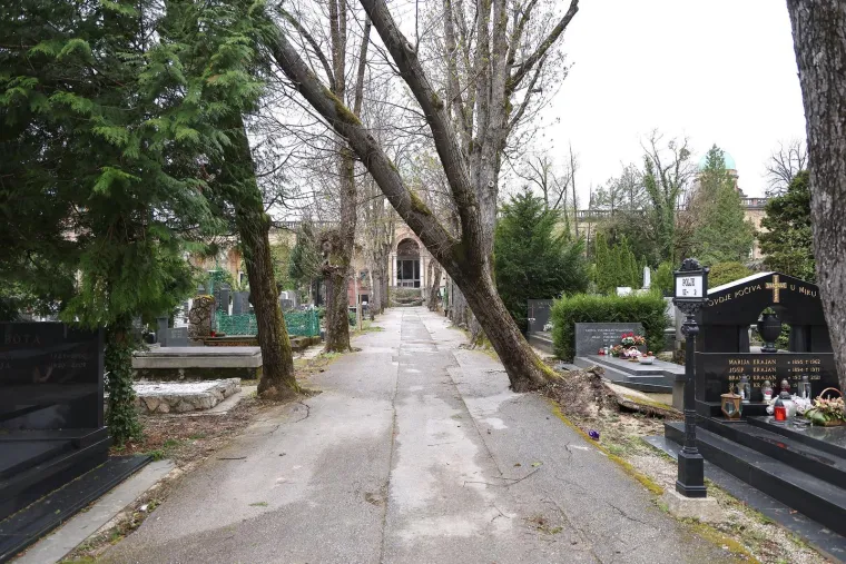 Uni&scaron;teni spomenici i neprepoznatljiv Mirogoj nakon oluje: Toma&scaron;ević najavio pomoć građanima