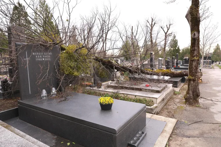 Uni&scaron;teni spomenici i neprepoznatljiv Mirogoj nakon oluje: Toma&scaron;ević najavio pomoć građanima