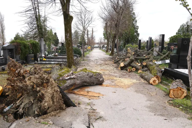 Uni&scaron;teni spomenici i neprepoznatljiv Mirogoj nakon oluje: Toma&scaron;ević najavio pomoć građanima