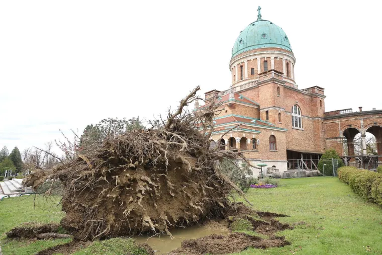 Uni&scaron;teni spomenici i neprepoznatljiv Mirogoj nakon oluje: Toma&scaron;ević najavio pomoć građanima