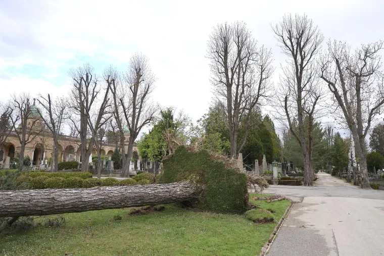 Uni&scaron;teni spomenici i neprepoznatljiv Mirogoj nakon oluje: Toma&scaron;ević najavio pomoć građanima