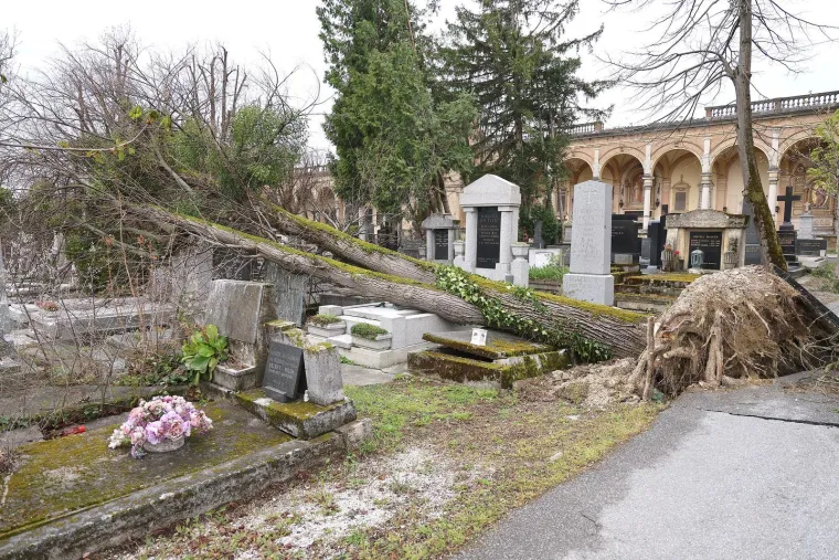 Uni&scaron;teni spomenici i neprepoznatljiv Mirogoj nakon oluje: Toma&scaron;ević najavio pomoć građanima