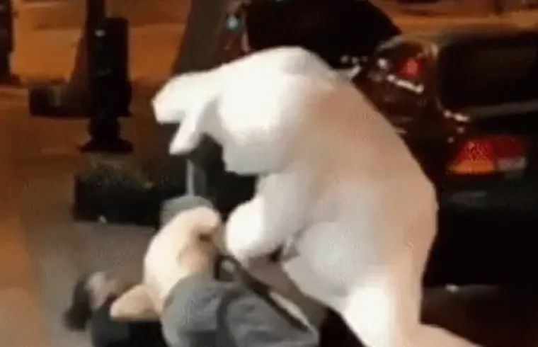 Sretan Uskrs uz najluđe prizore podijeljene na internetu: Neki će vas nasmijati do suza