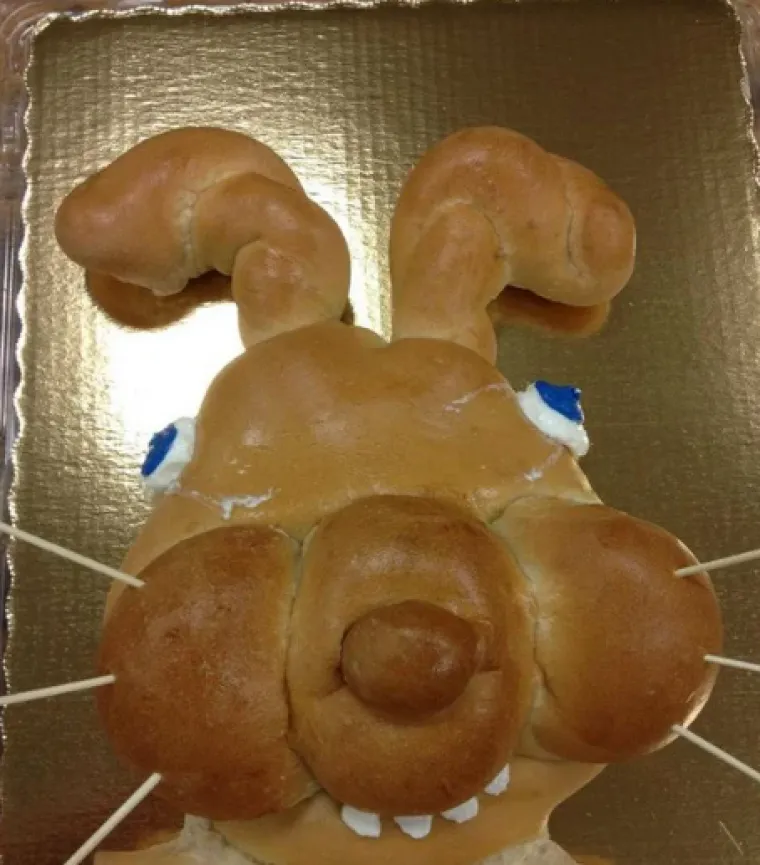 Sretan Uskrs uz najluđe prizore podijeljene na internetu: Neki će vas nasmijati do suza