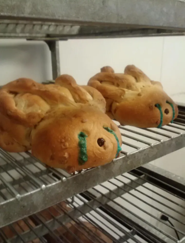 Sretan Uskrs uz najluđe prizore podijeljene na internetu: Neki će vas nasmijati do suza