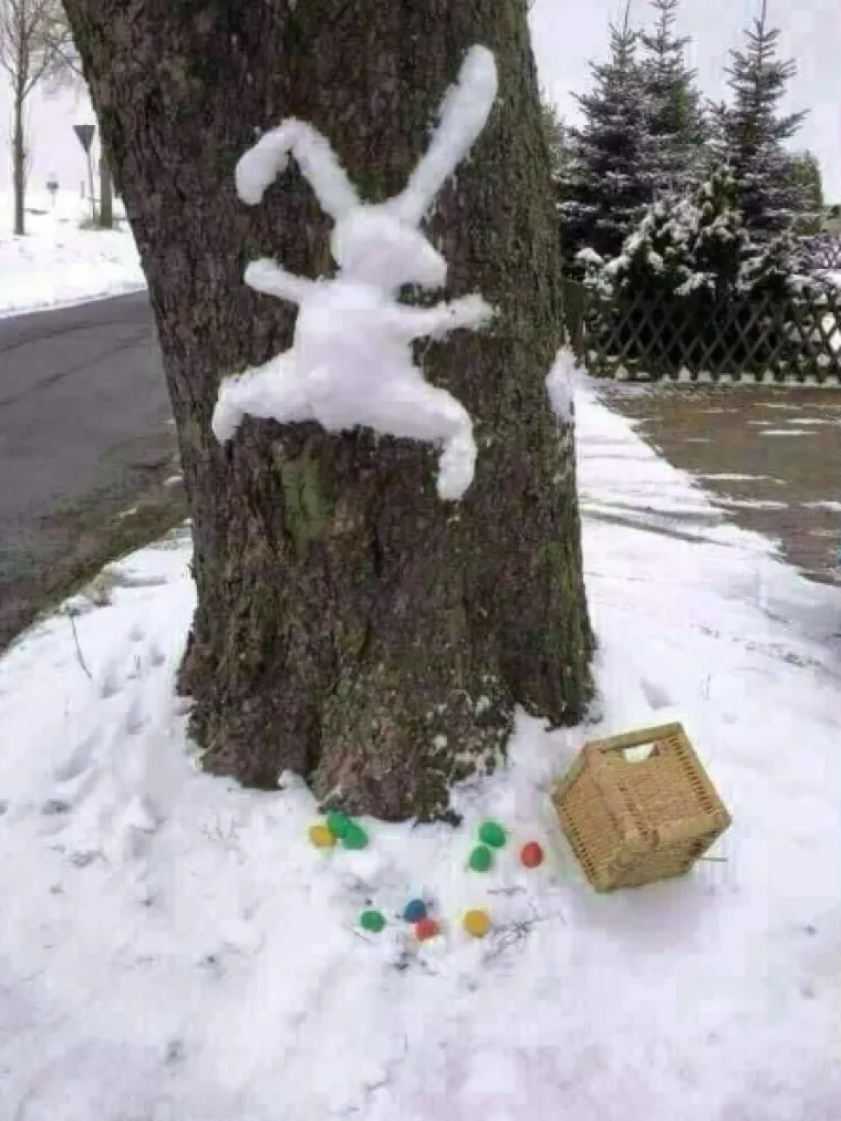 Sretan Uskrs uz najluđe prizore podijeljene na internetu: Neki će vas nasmijati do suza