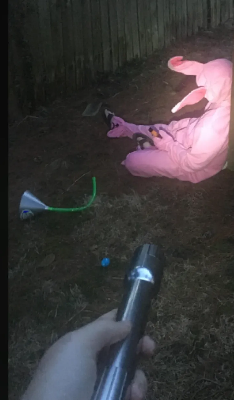 Sretan Uskrs uz najluđe prizore podijeljene na internetu: Neki će vas nasmijati do suza