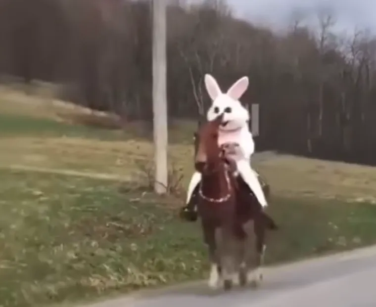 Sretan Uskrs uz najluđe prizore podijeljene na internetu: Neki će vas nasmijati do suza