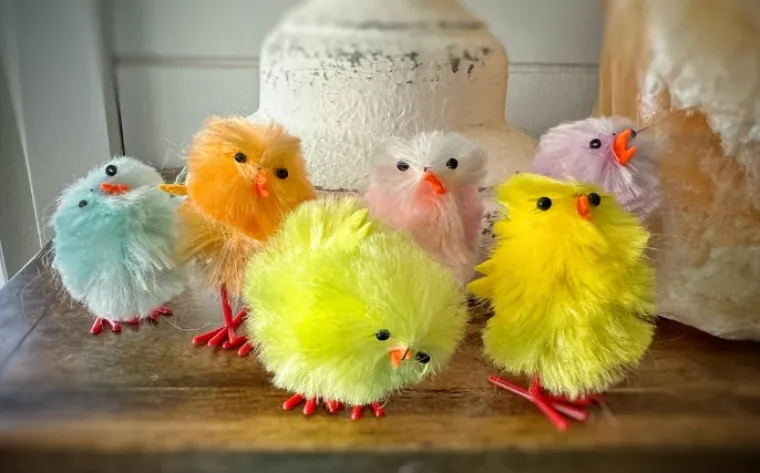 Sretan Uskrs uz najluđe prizore podijeljene na internetu: Neki će vas nasmijati do suza