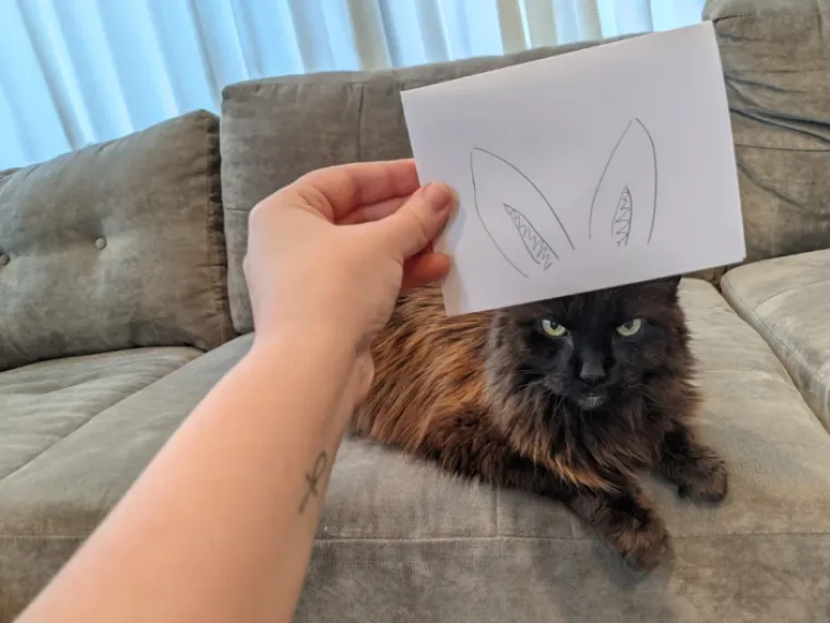 Sretan Uskrs uz najluđe prizore podijeljene na internetu: Neki će vas nasmijati do suza