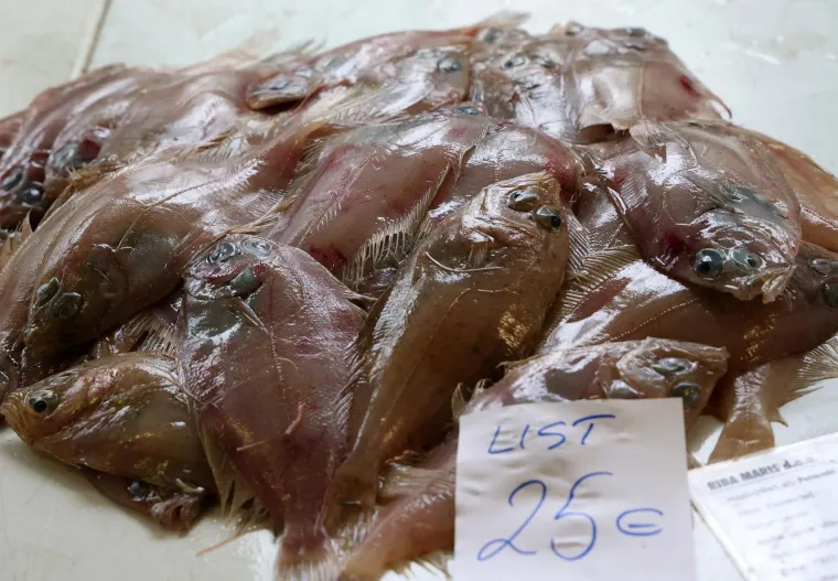 Ponuda riba na Veliki petak nikad veća, a kupaca nikad manje: Pogledajte ove cijene