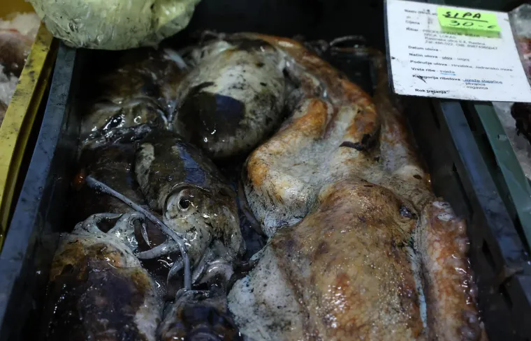 Ponuda riba na Veliki petak nikad veća, a kupaca nikad manje: Pogledajte ove cijene